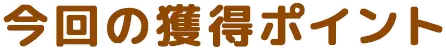 今回の獲得ポイント